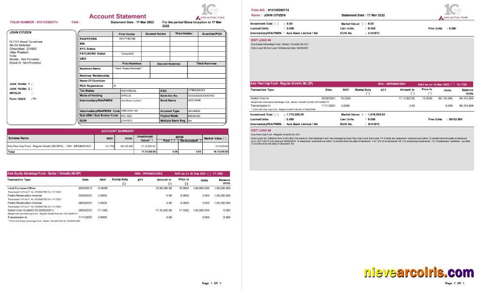 India Axis bank statement 3 pages